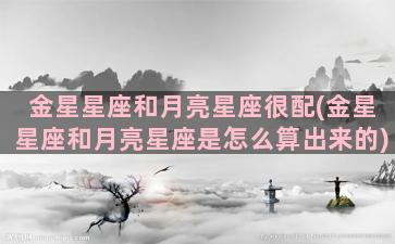 金星星座和月亮星座很配(金星星座和月亮星座是怎么算出来的)