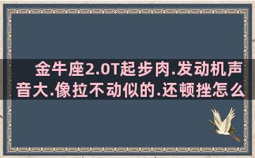 金牛座2.0T起步肉.发动机声音大.像拉不动似的.还顿挫怎么办