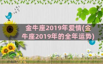 金牛座2019年爱情(金牛座2019年的全年运势)