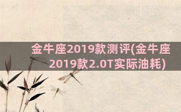 金牛座2019款测评(金牛座2019款2.0T实际油耗)