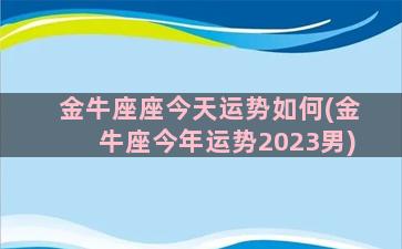 金牛座座今天运势如何(金牛座今年运势2023男)